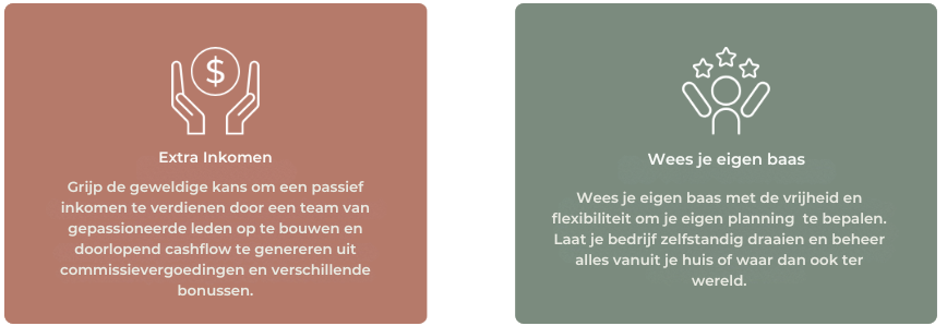 Passief Inkomen verdienen waarom werken bij BioKissed